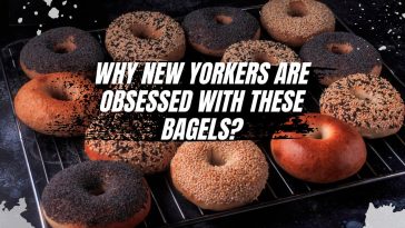 Why New Yorkers are Obsessed With These Bagels?