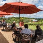 Best Wineries in Virginia