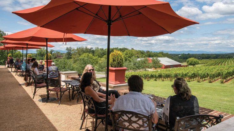 Best Wineries in Virginia