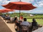Best Wineries in Virginia